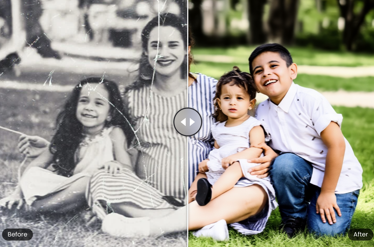 Old Photo Restoration